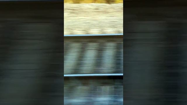 рельсы смотреть онлайн