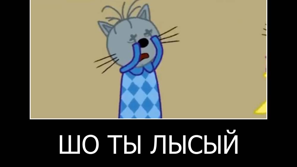 МУД ДЕМОТИВАТОР ТРИ КОТА (3 часть)