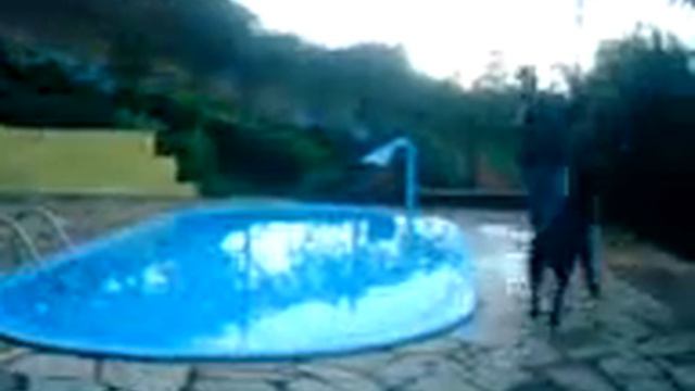 Cachorro Ensina Héctor A Nadar!