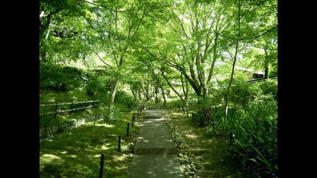 Lamp[haruka nakamura] improvisation 20200510 смотреть онлайн