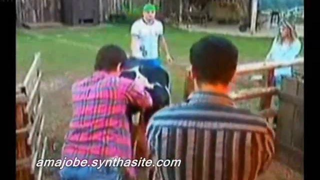 A FAZENDA: A VACA FOI PRO BREJO! смотреть онлайн