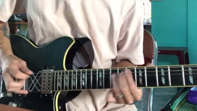 Hey Jude - The Beatles (Martin Miller - Paul Gilbert’s Intro Solo Cover)