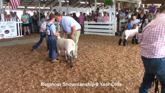2021 Clark County Fair - July 24 - Sheep Barn смотреть онлайн