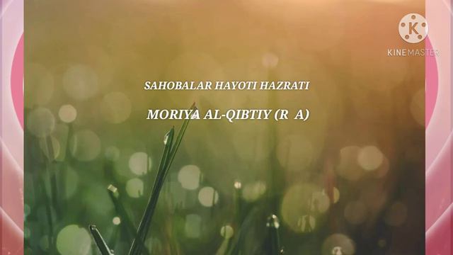 SAHOBALAR HAYOTI-MORIYA AL-QIBTIY (R A) САХОБАЛАР ХАЁТИ-МОРИЯ АЛ-КИБТИЙ (Р А) смотреть онлайн