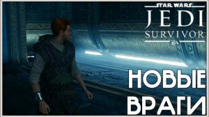 В поисках лесного узла. /Star Wars Jedi: Survivor/ #6