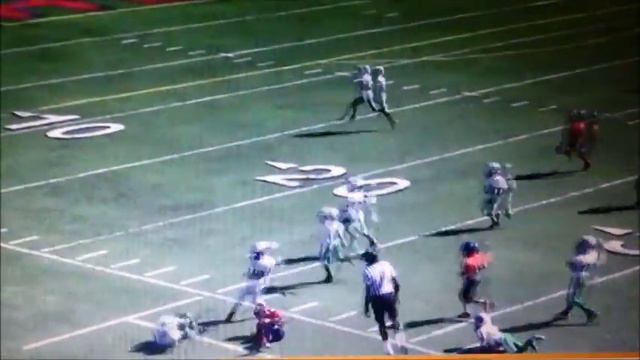 8 yr old Mark Gebhardt Jr Pee Wee Rookie Year смотреть онлайн