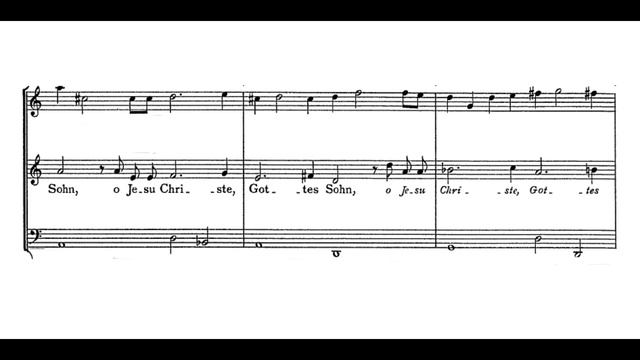 Schein: O Jesu Christe, Gottes Sohn - Ricercar Consort