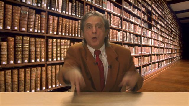 Votez Mario ! Mario Vosgueulenchon, Parti Des Raleurs