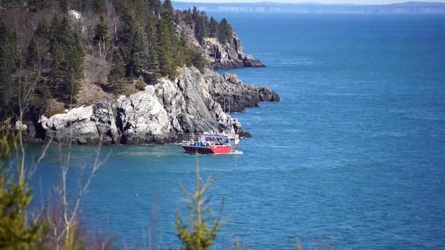 Etude In The Mode Of J.S. Bach...Fantasy  Music   By Andrei Krylov