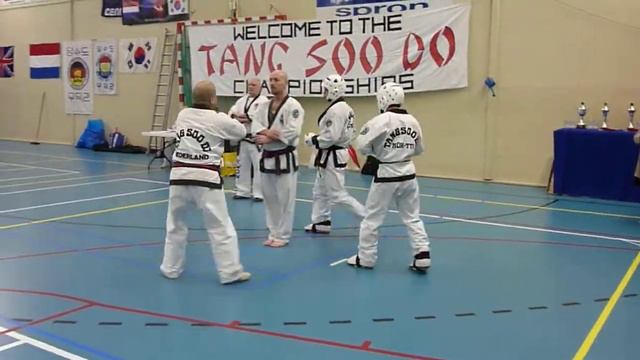 Tang Soo Do & Haedong Kumdo Games 2012 Groningen Sparring Michael Tjin A Lien Vs. David Cheung смотреть онлайн
