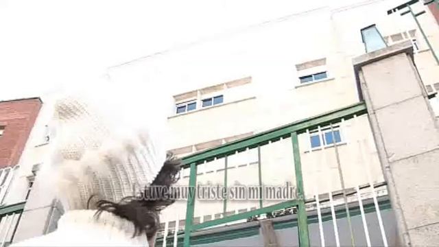 Ab Morgen Bin Ich Brinkmann