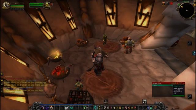 WoW quick leveling guide for beginner's смотреть онлайн