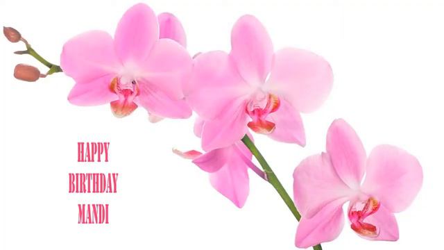 Mandi   Flowers & Flores - Happy Birthday