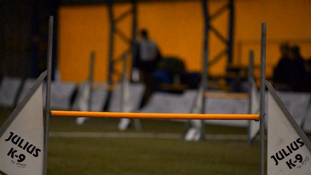 MEOE ASB Wintercup-weekend by Julius-K9 смотреть онлайн