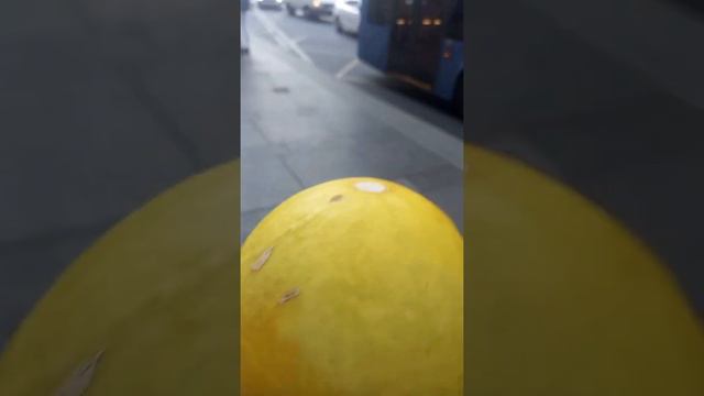 Влог мятного лина архивы2022 #плохойпарень#хозяева#парадеевич#платина#мем#мятныйлин смотреть онлайн