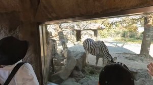 Поход в зоопарк в г.Кобэ, Япония