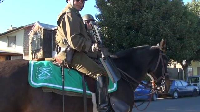 Pala Carabineros смотреть онлайн