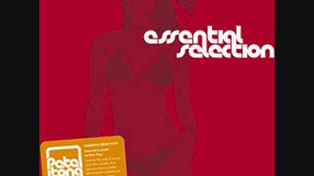Pete Tong - Essential Selection Album - Beatz IN Peacez 03 NRK ( PEACE DIVISION)