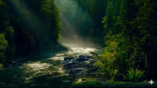 Far cry 5: Jacob Seed’s Loading Screen Music (High Quality) смотреть онлайн