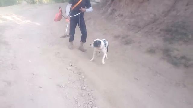 Халид патриот(2) смотреть онлайн