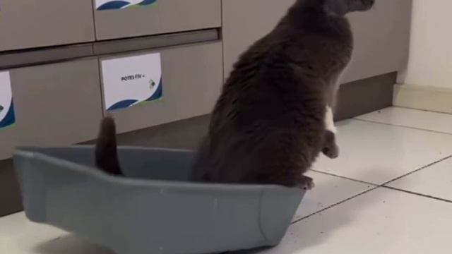 КОЖАНЫЙ УБЕРЕТ🤣🤣🤣