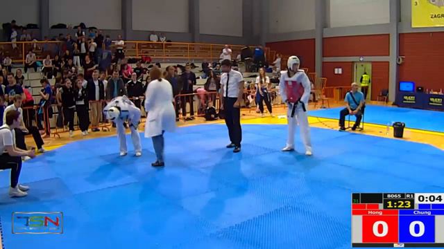 865- DIVIJAN-MARTIN KELAVA, SJANAMI Vs. IVAN ŠAPINA, RUGVICA
