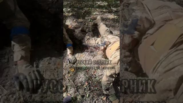 СВО 18+
Микс от свиней 🐷 смотреть онлайн