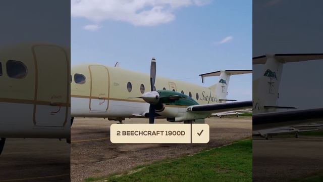 safari plus Charter смотреть онлайн