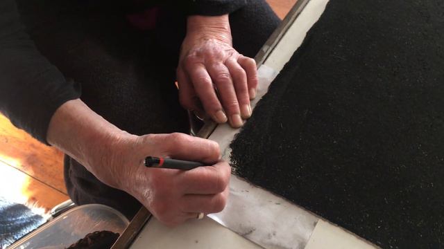 The Amazing Reveal of Finished Dandelion Drawing смотреть онлайн