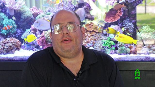 Reef2Reef TV Episode 28: Richard Miller's 220g. смотреть онлайн
