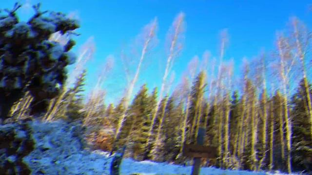 BYGGET torpmiljö Svanshals