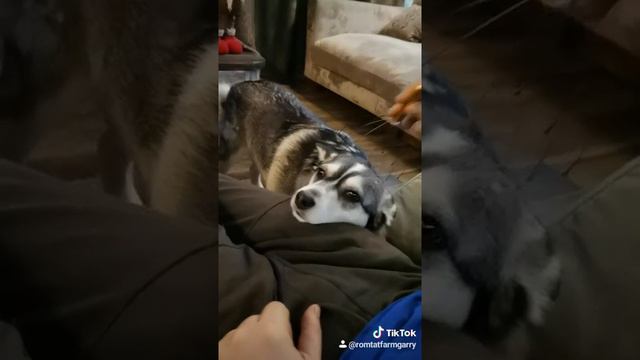 Кайфушечки