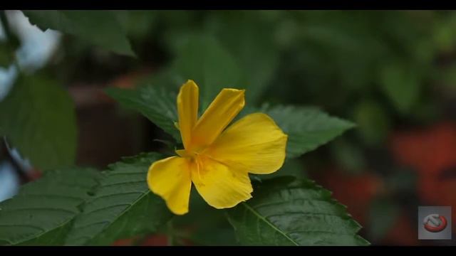 01  Frainbreeze & Lucid Blue – Light My Way Original Mix