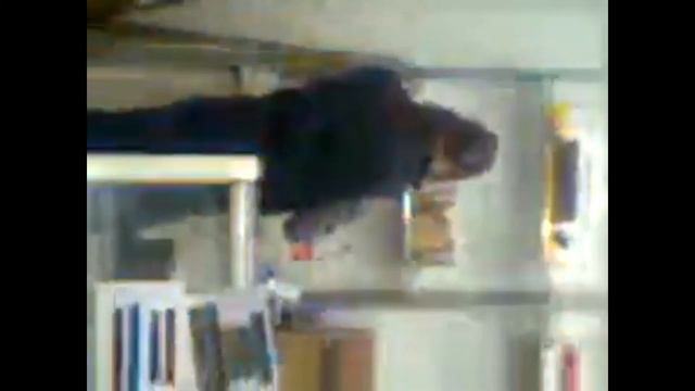 Девушка Скромница Екатерина Павловна Пужайцева(АФЕРИСТКА)