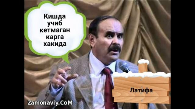 QISHDA UCHIB KETMAGAN QARGA XAQIDA смотреть онлайн