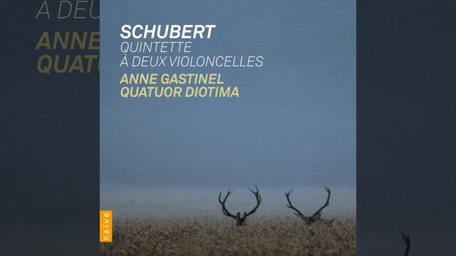String Quintet in C Major, D. 956: I. Allegro ma non troppo смотреть онлайн