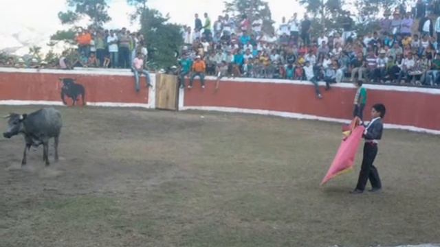 DUBAN FELIPE HOYOS MONTILLA смотреть онлайн