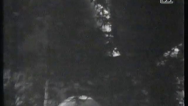 Kaplan Martin Čedermac film 1972 1. del смотреть онлайн