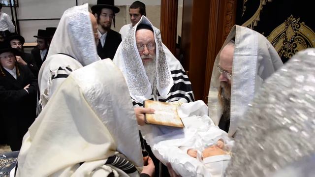 ברית נדבונה חיפה אלעסק -2 смотреть онлайн