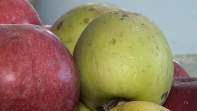 Успаміны пра Яўгена Жыхара смотреть онлайн