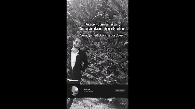 Turgut Uyar | Bir İntihar Üstüne Söylenti (Anıl Cihad Yılmaz) смотреть онлайн