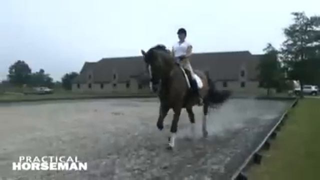 Shawna Harding: Get MORE From Your Horse By Asking LESS смотреть онлайн