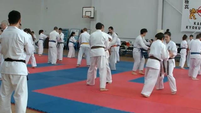 Отворено клубно+семинар 2019 Кранево смотреть онлайн