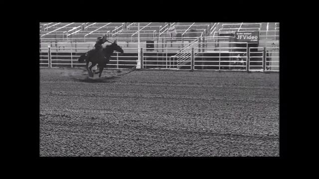 Finding Your WHY. Sports Communication Final