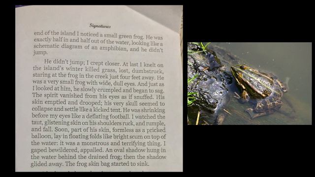 Pilgrim at Tinker Creek video I смотреть онлайн