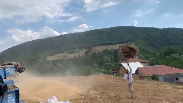 Alp Sedat ın Fiğ patozu смотреть онлайн