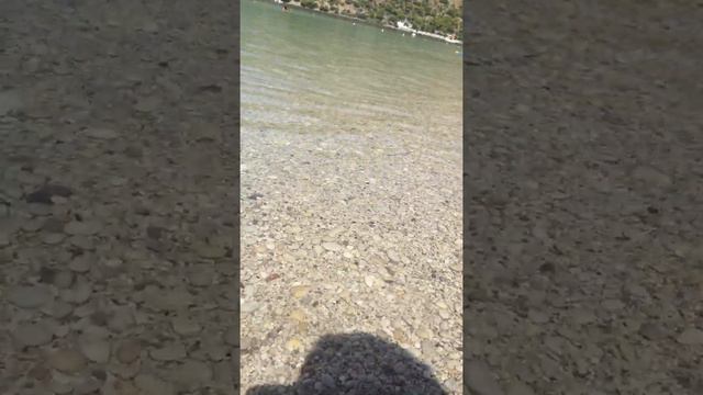 Küçük balık Balamir in Deniz sevgisi ☺️ смотреть онлайн