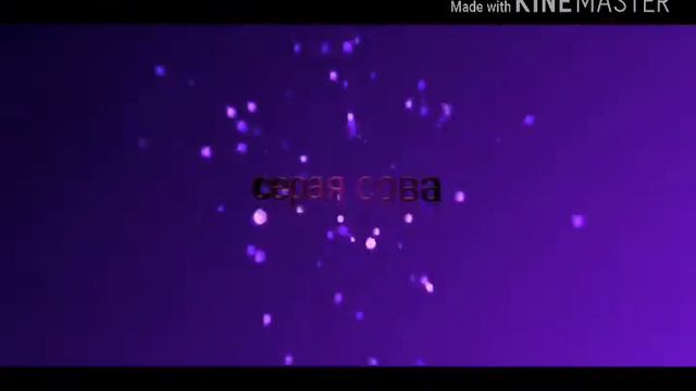 Новое интро 2018 смотреть онлайн