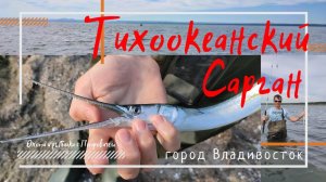 Сумасшедшая рыбалка на САРГАНА во Владивосток.