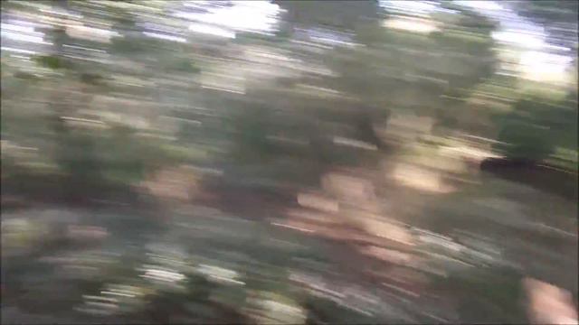 Avalon Trail With James